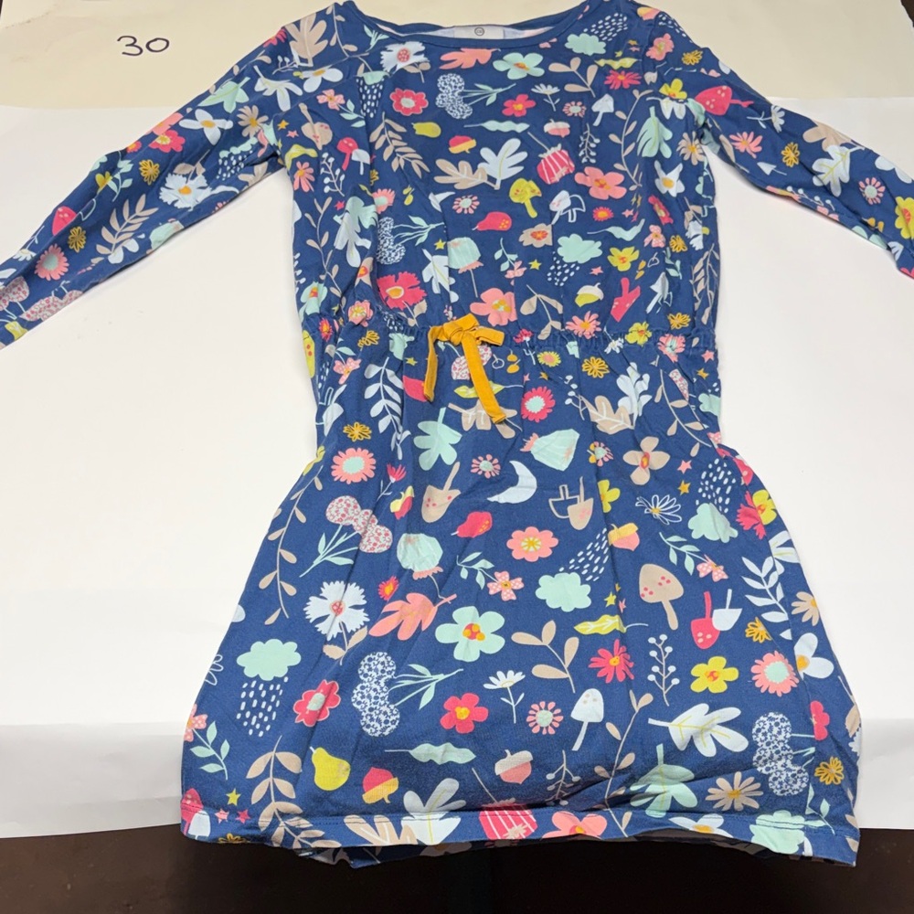 Hanna Andersson Blue Dress with Floral Accents